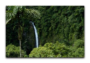 Catarata del Rio Fortuna